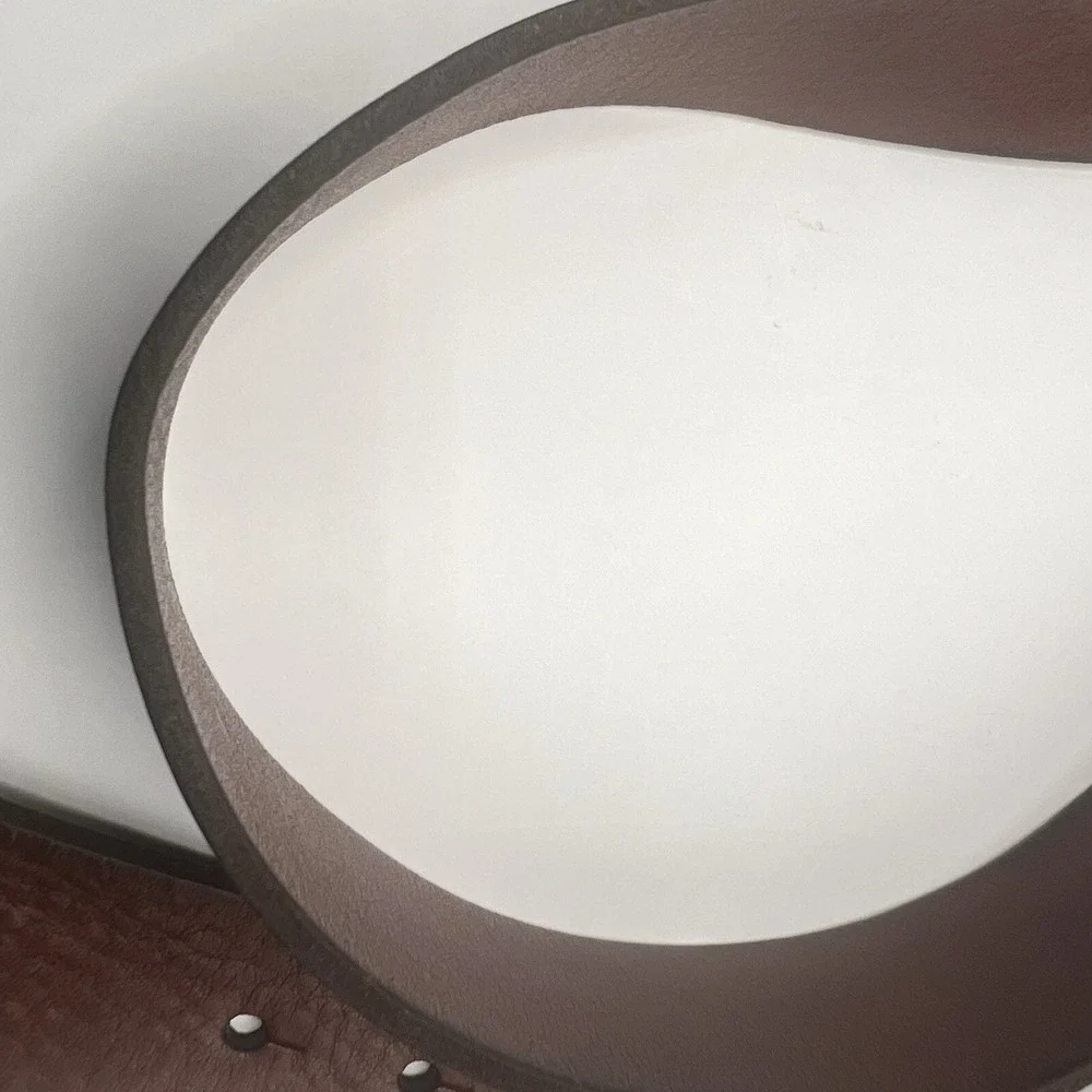 Fossil this belt